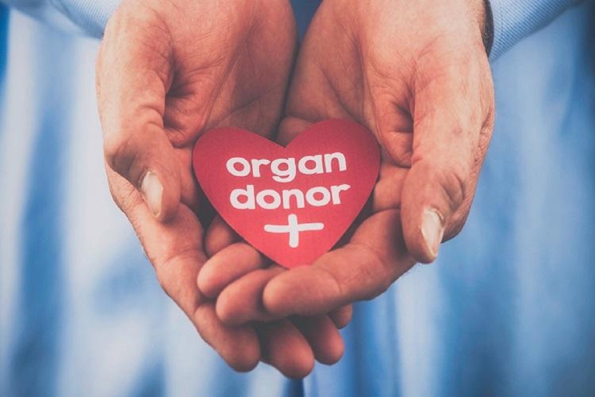 become an organ donor
